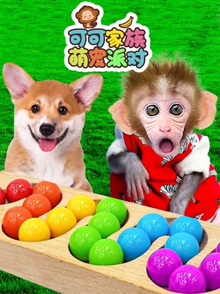 可可家族萌宠派对