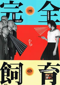 电影苹果在线播放